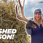 Crush Sheds