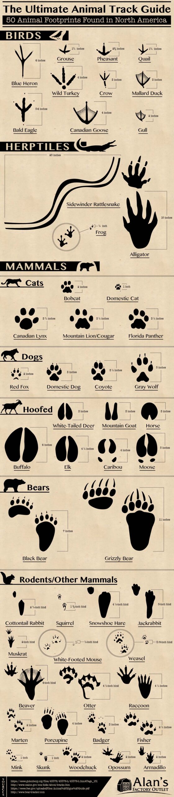 50 animal footprints North America - CarbonTV Blog