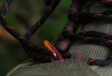 Photo of Video: How to Start a Fire with Your Shoe or Boot