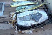 Photo of South Carolina Anglers Reel in Over $1 Million of Cocaine