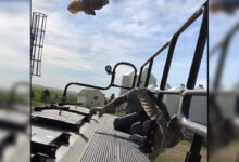 Photo of Farmer Dive Bombed While Trying to Free Owlet Trapped in Equipment