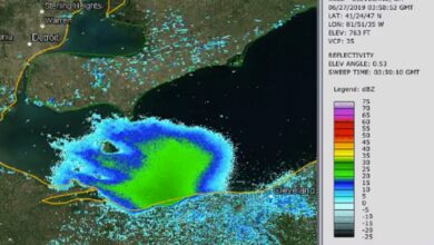 Mayflies Hatching Over Lake Erie - CarbonTV