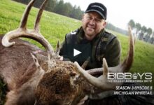 Wildlife Host Kevin Johnson - CarbonTV Blog