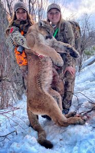 Montana Mountain lion - CarbonTV