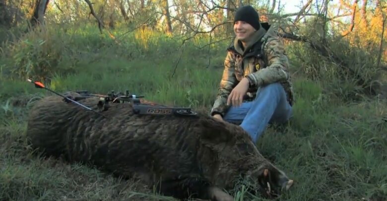 Texas Hog Eradication - CarbonTV Blog