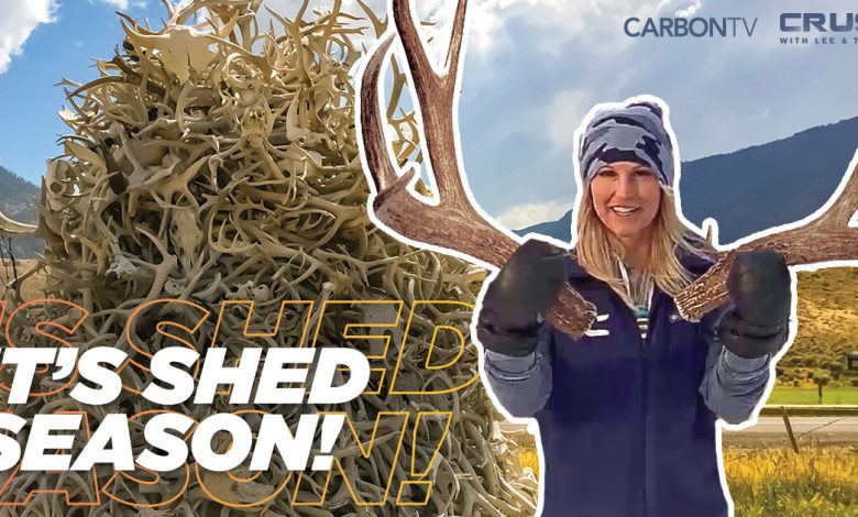 Shed Season - CarbonTV