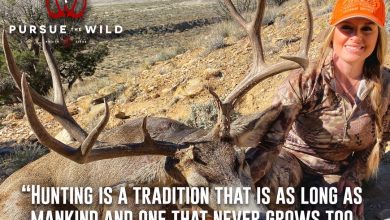 Photo of Kristy Titus Brings Her Popular Outdoor Series “Pursue the Wild” to CarbonTV