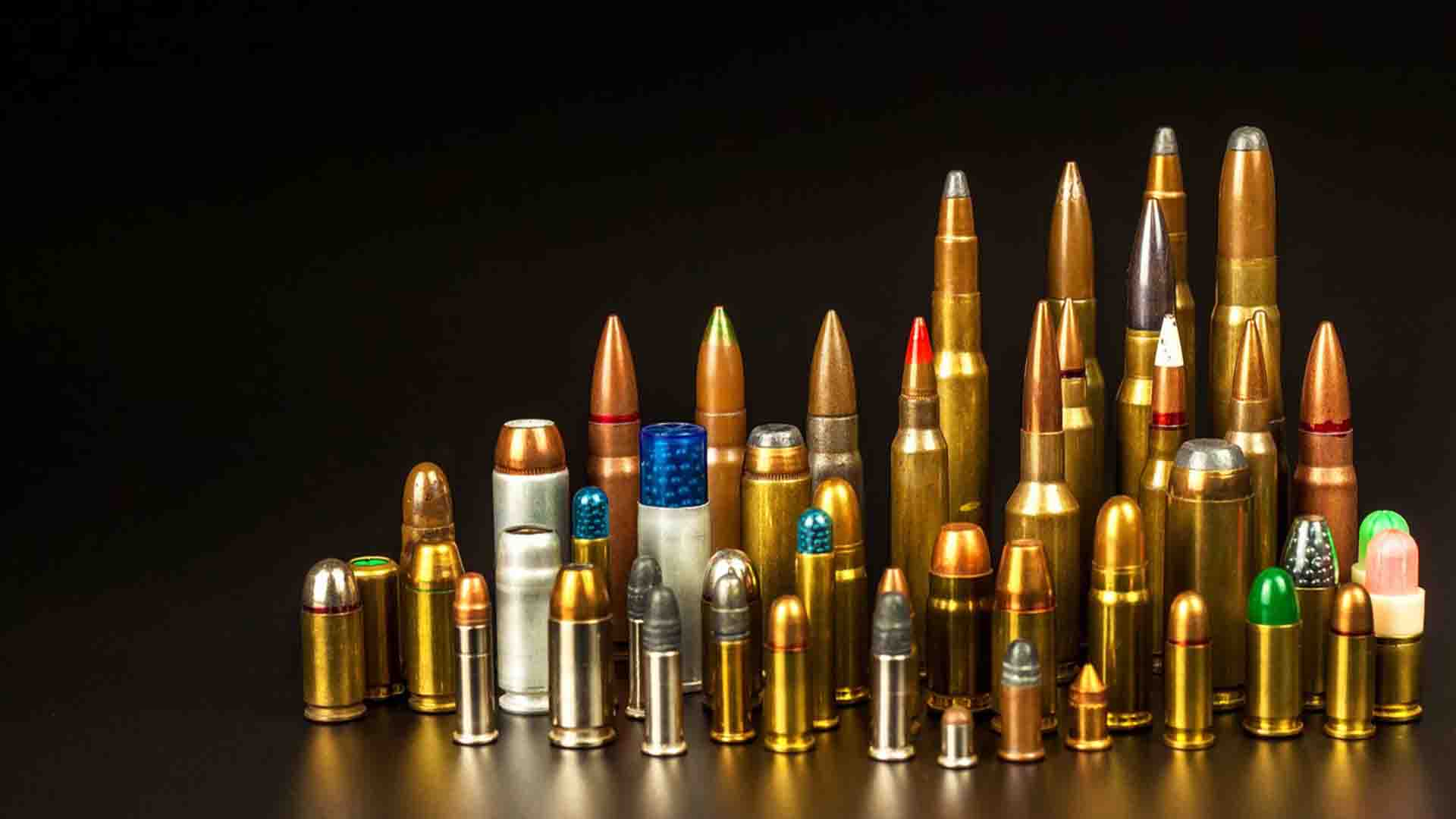Best Types of Ammunition for Hunting, Competition Shooting, and Self Defense