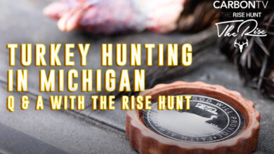 Turkey Hunting in Michigan