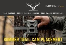 Summer Trail Cam Placement - CarbonTV Blog
