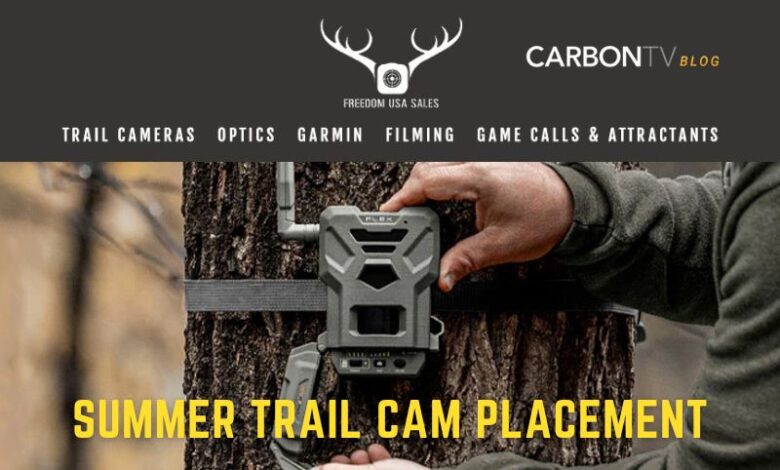 Summer Trail Cam Placement - CarbonTV Blog
