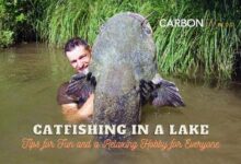 Catfishing in a Lake - CarbonTV Blog