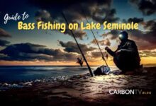 Bass Fishing on Lake Seminole - CarbonTV Blog