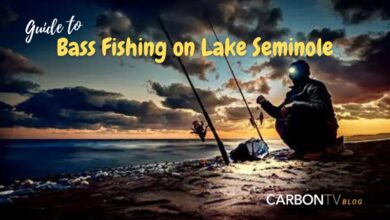 Bass Fishing on Lake Seminole - CarbonTV Blog