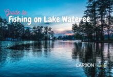 Fishing on Lake Wateree - CarbonTV Blog