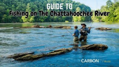 Fishing on The Chattahoochee River - CarbonTV Blog