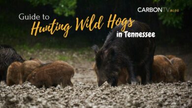 Hunting Wild Hogs in Tennessee - CarbonTV Blog