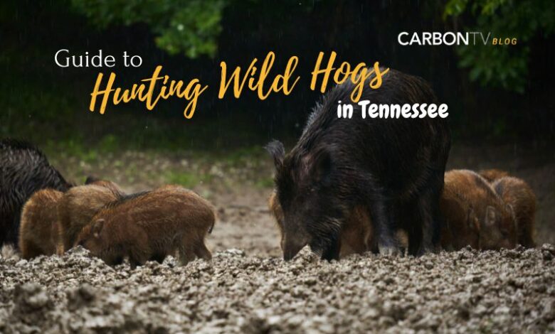 Hunting Wild Hogs in Tennessee - CarbonTV Blog