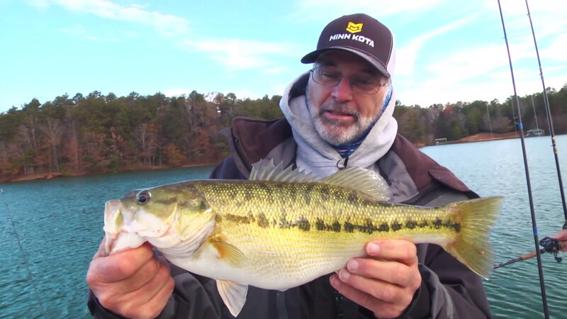 Spotted Bass - CarbonTV