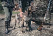 best upland hunting boots