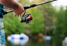 choosing the right fishing line