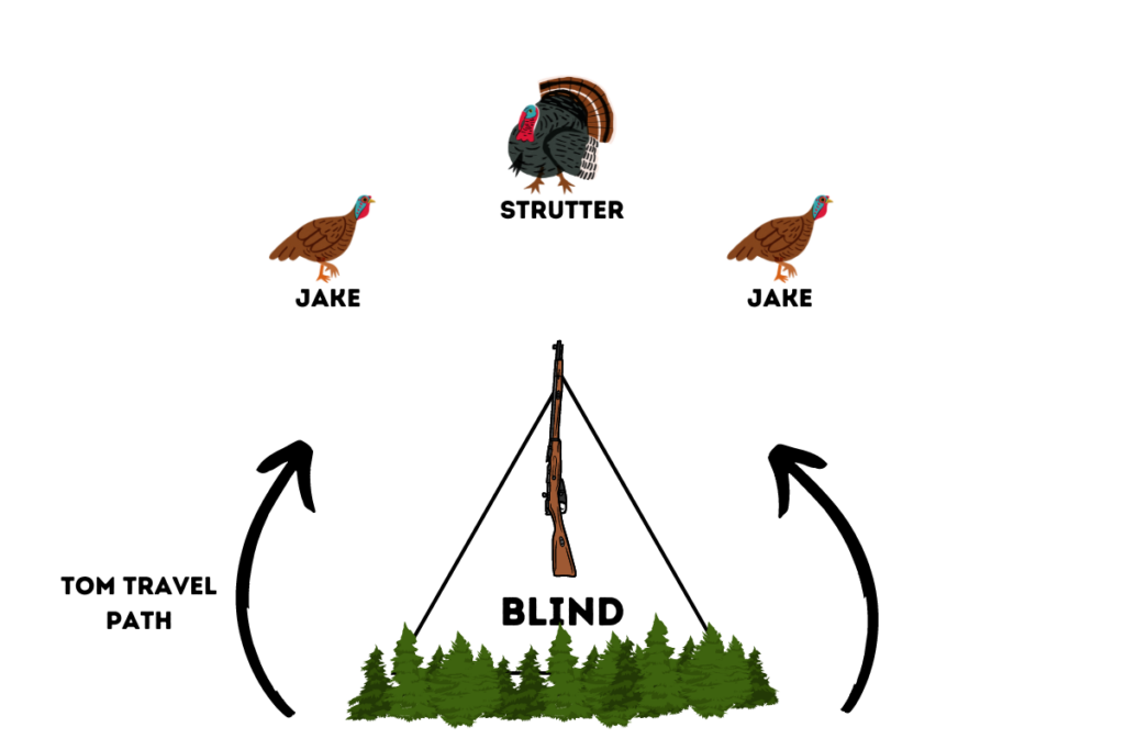 The Ultimate Turkey Decoy Setup For Transition Toms