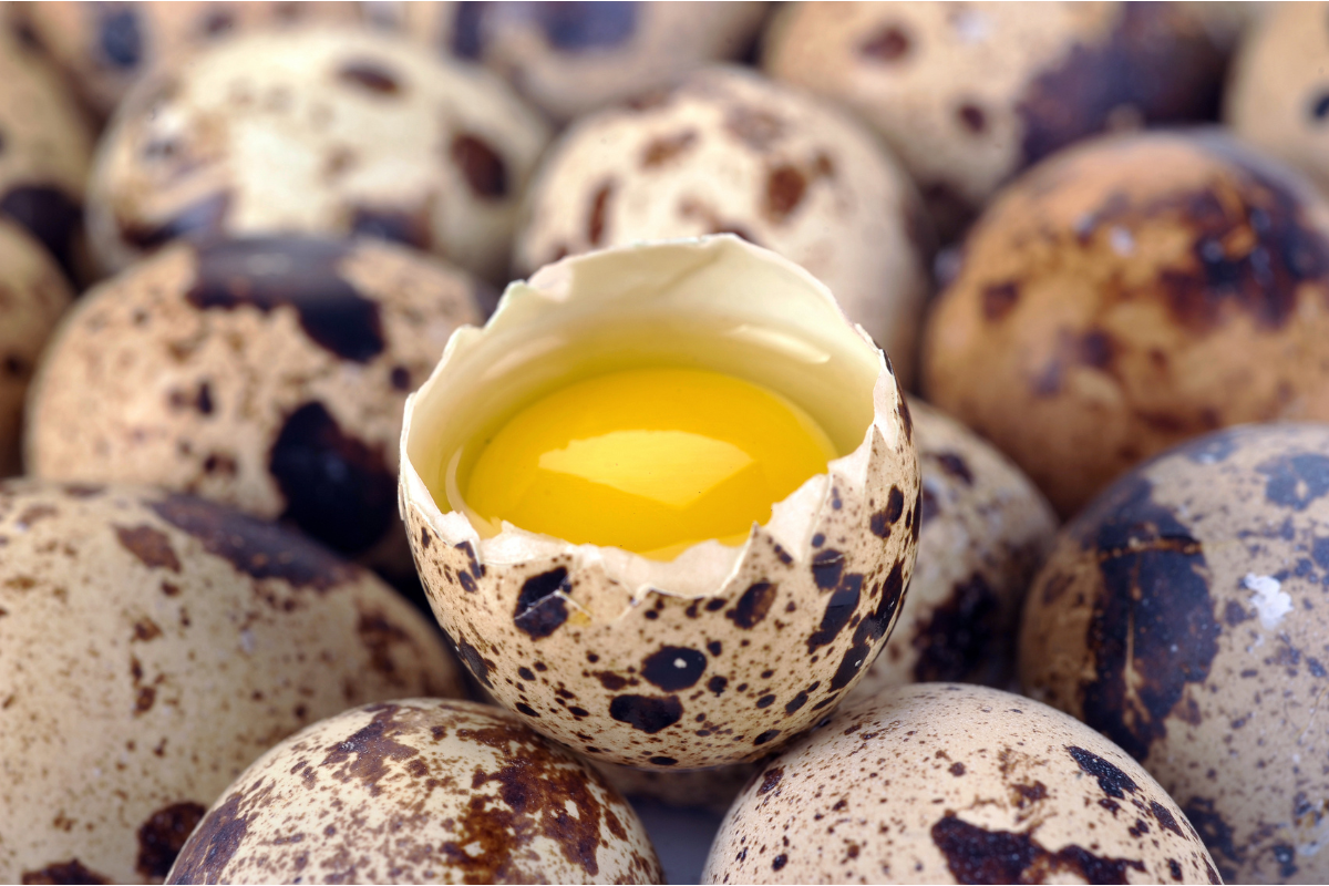 quail eggs