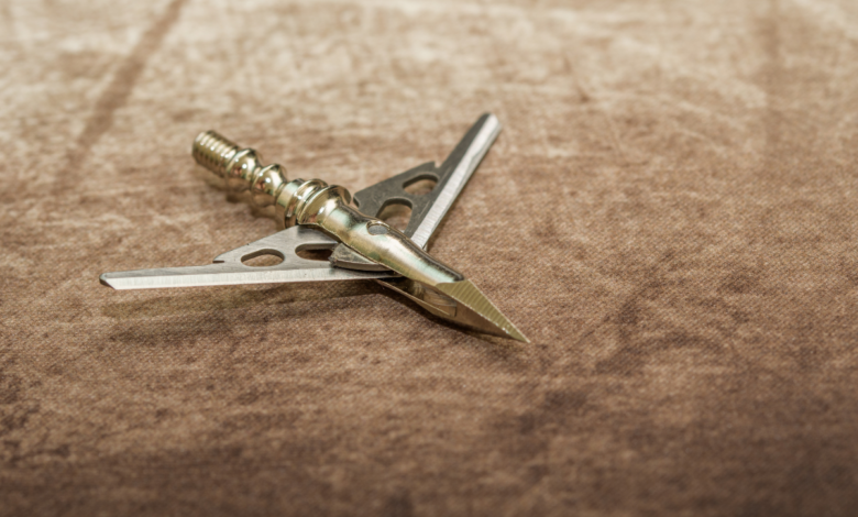 best broadheads for deer