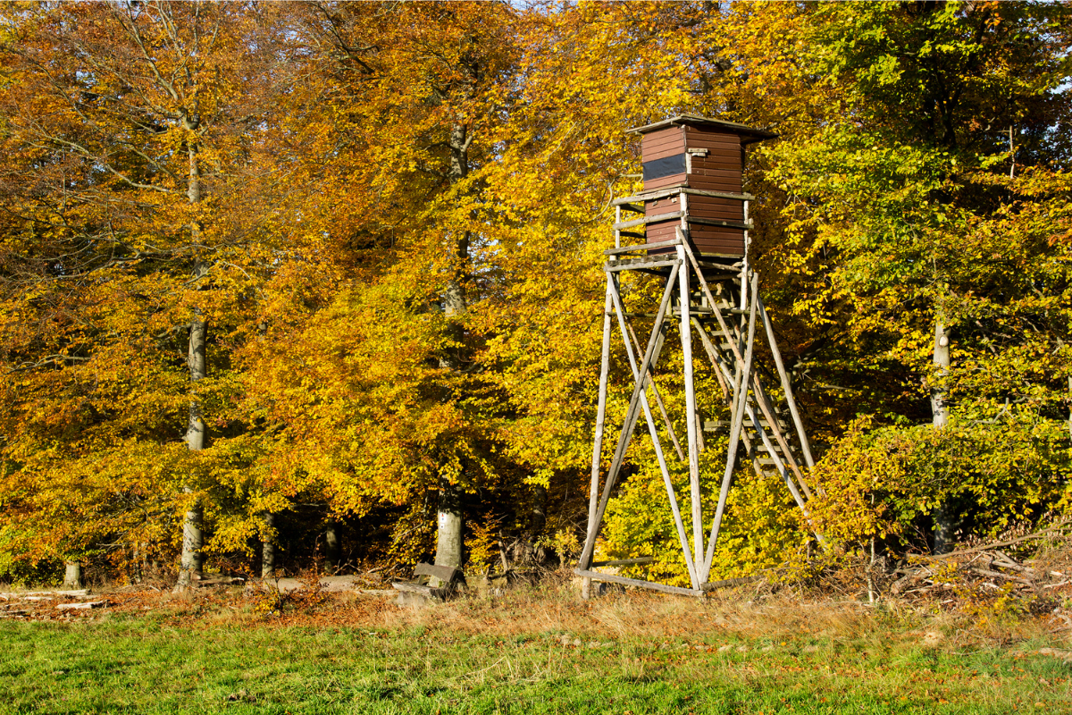 hunting stand