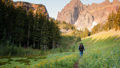 9 Camping Accessories