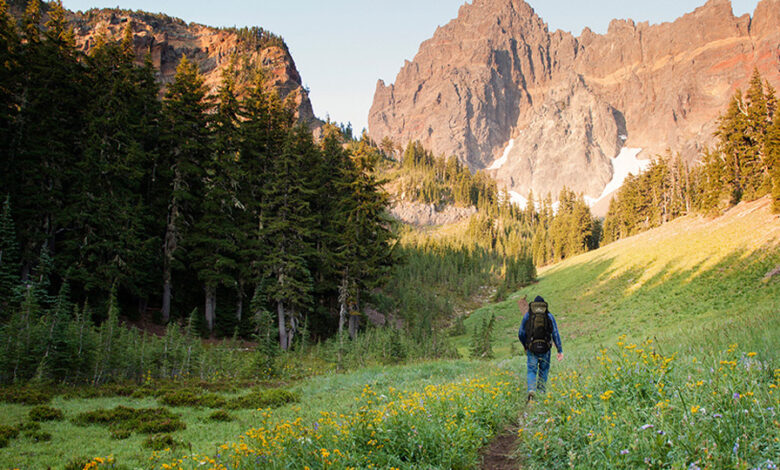 9 Camping Accessories